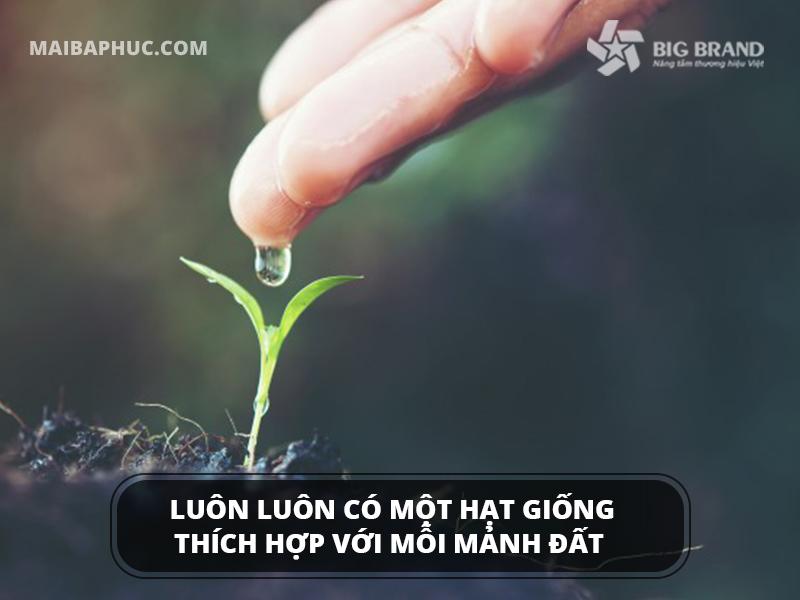 Không bỏ cuộc