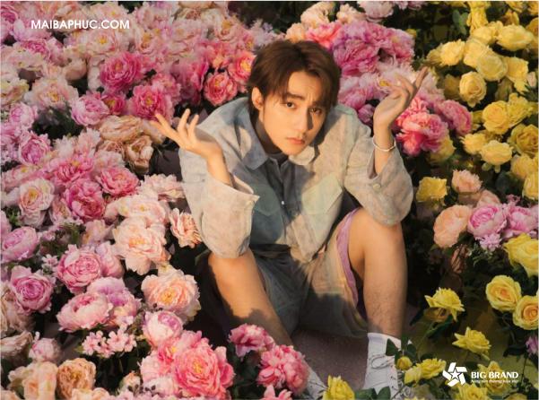 3 ‘bí kíp’ tạo nên thành công các startup có thể ‘học lỏm’ từ cách làm sản phẩm của Sơn Tùng M-TP