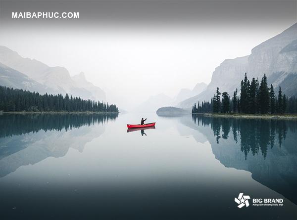 Nghệ thuật tĩnh lặng