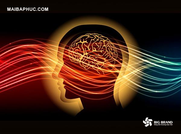 5 Câu chuyện dạy bạn phương thức tư duy đỉnh cao